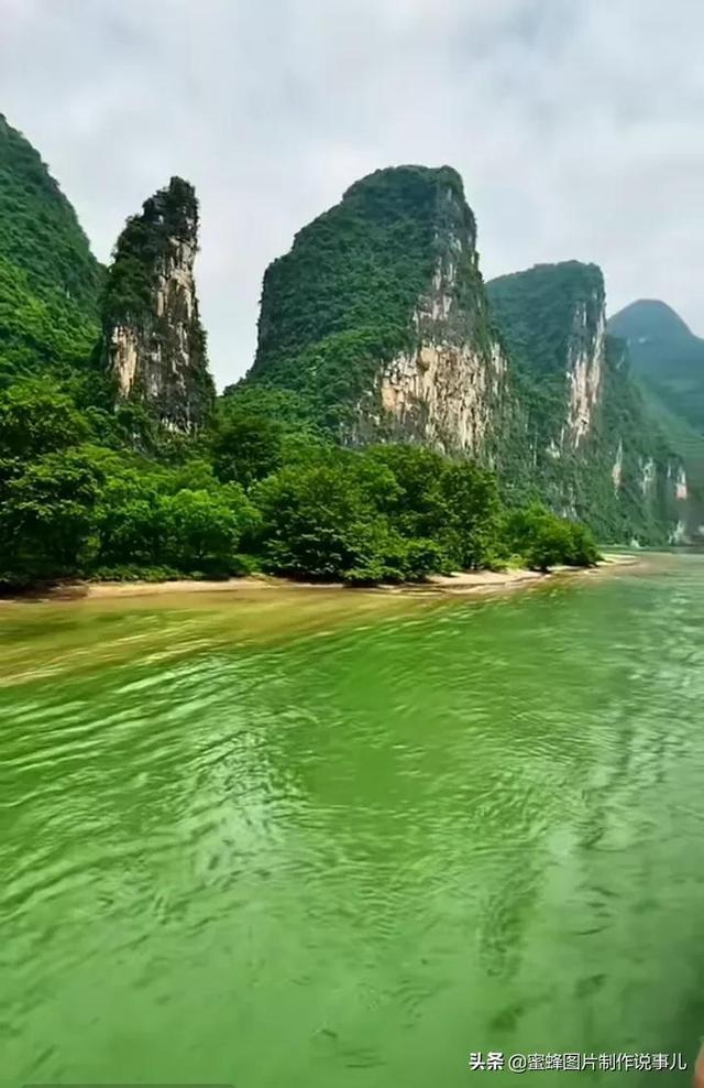 艾迪芬奇的记忆